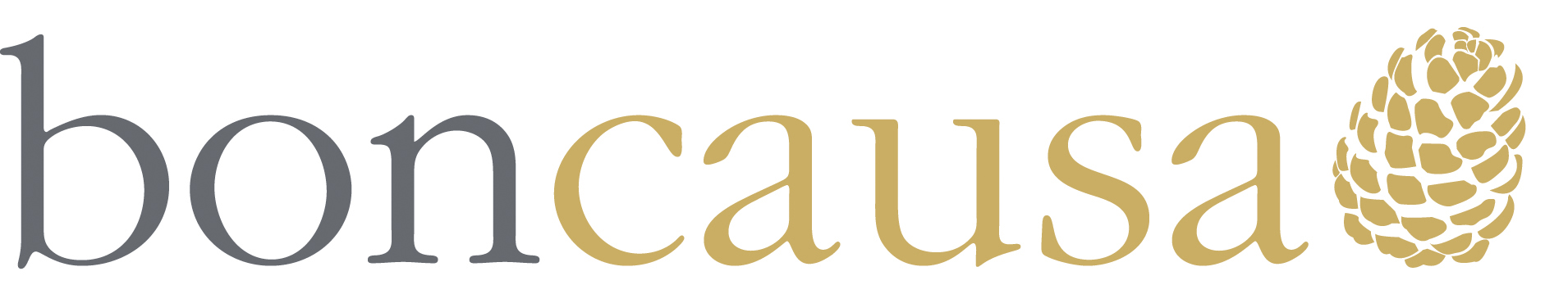 boncausa logo